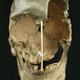 Frontal view of the Zlatý kůň skull.